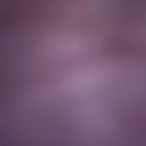 Meet your Posher, Bailey